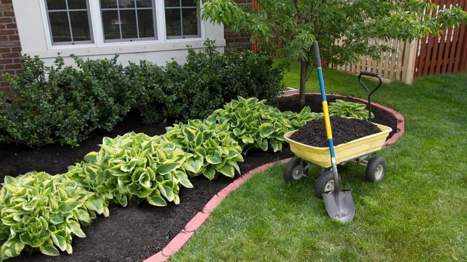 5 Tips For Landscaping On A Budget