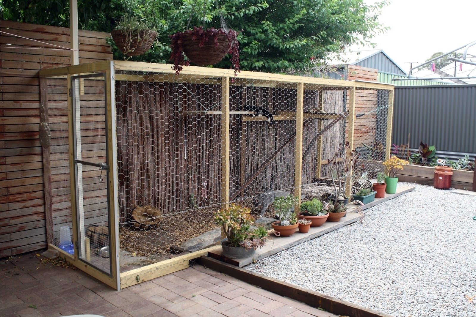  Outdoor Cat Enclosure