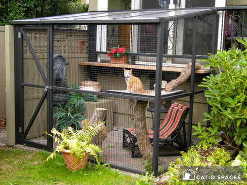How Big Should An Outdoor Cat Enclosure Be?