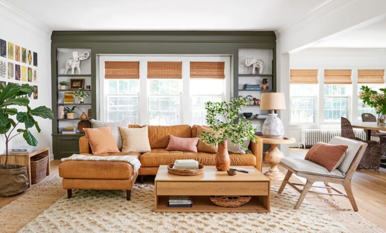 Light Brown Couch Living Room