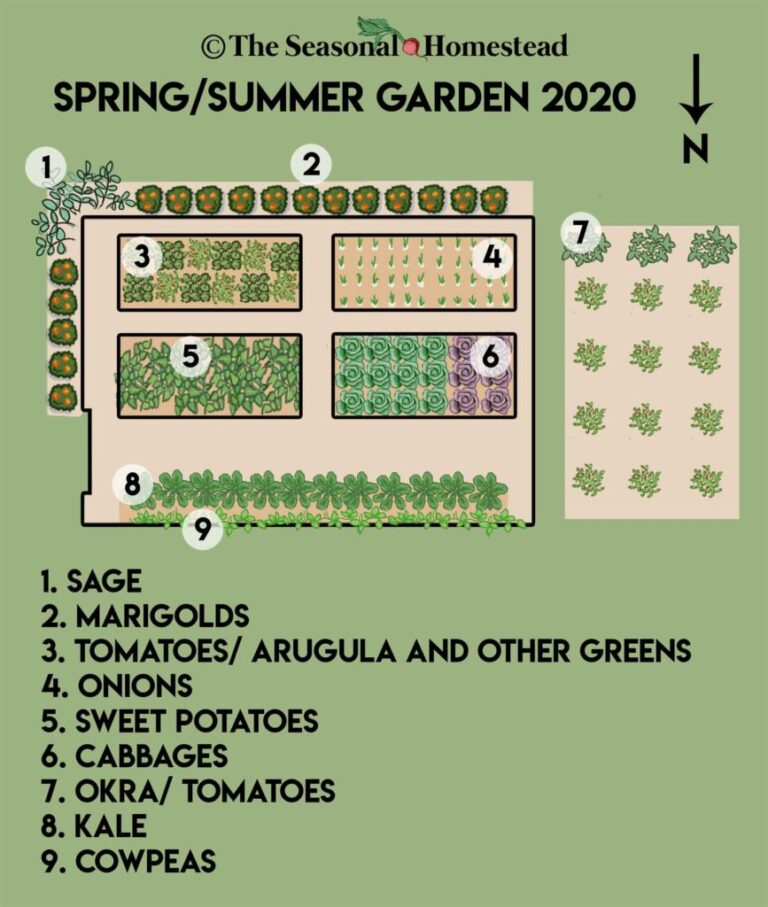 What Is The Best Garden Layout?
