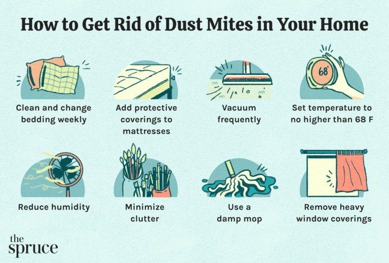 How To Get Rid Of Dust Mites In A Mattress