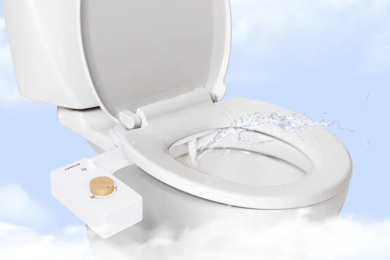 What Is The Advantage Of Having A Bidet?