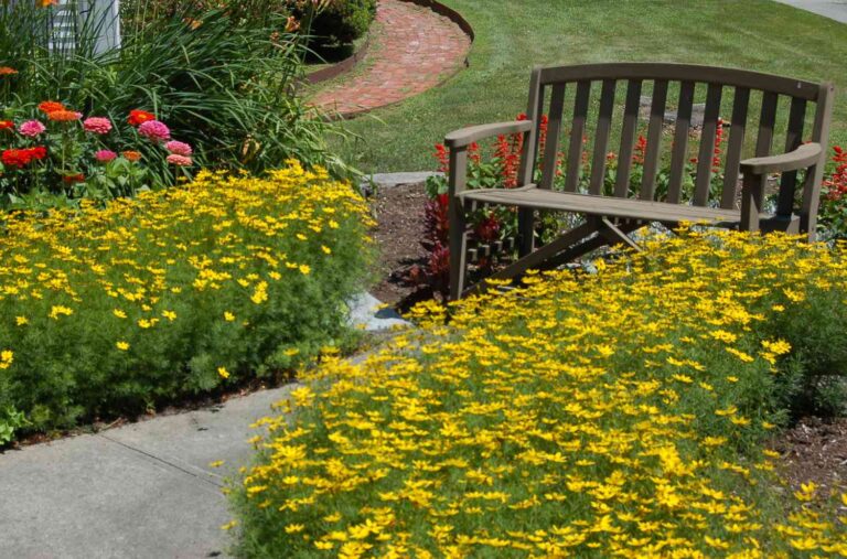 What Is The True Definition Landscaping?